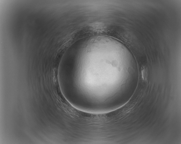 X0000060561347200511031232