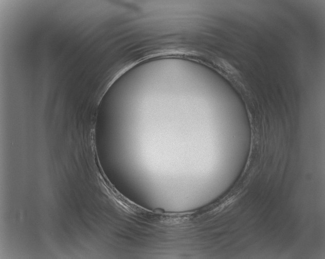 X0000060561369200511031232