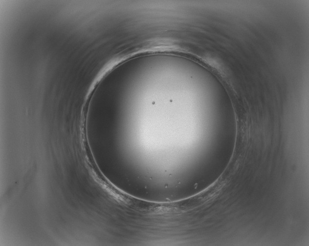 X0000060561374200511031232