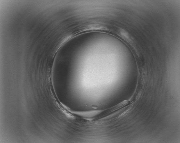 X0000060561377200511031232