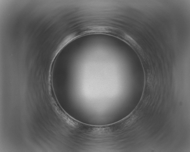 X0000060561378200511031232