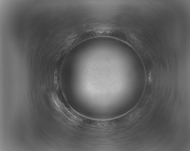 X0000060561396200511031231