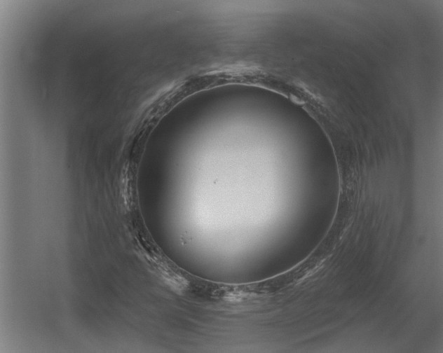X0000060561398200511031231