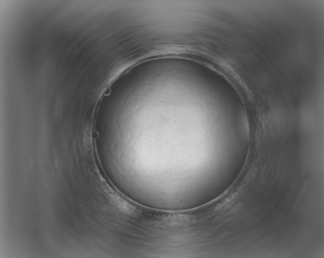 X0000060561417200511031231