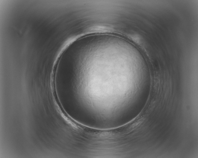 X0000060561421200511031231
