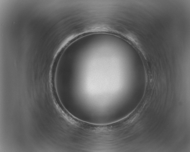 X0000060561422200511031231