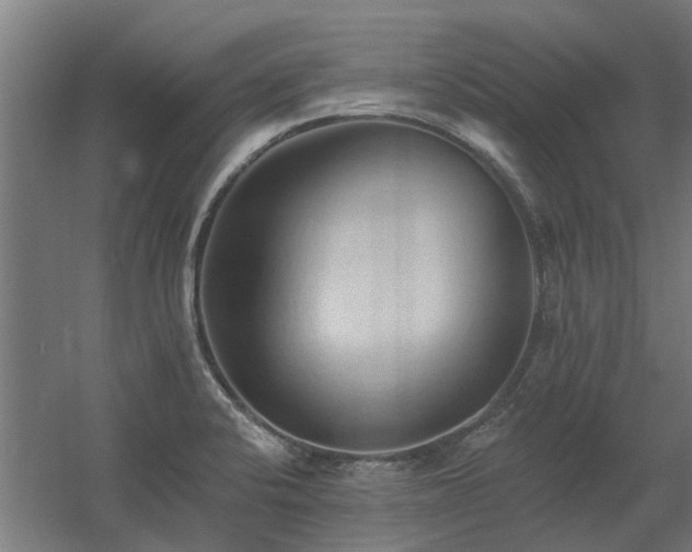 X0000060561424200511031231