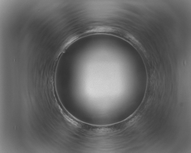 X0000060561425200511031231