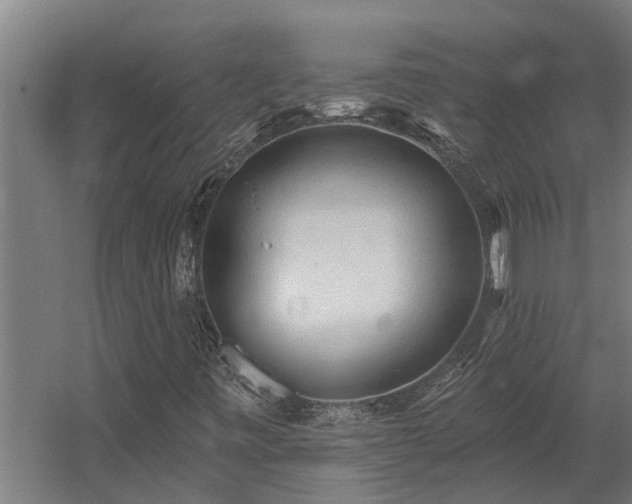 X0000060561443200511031230