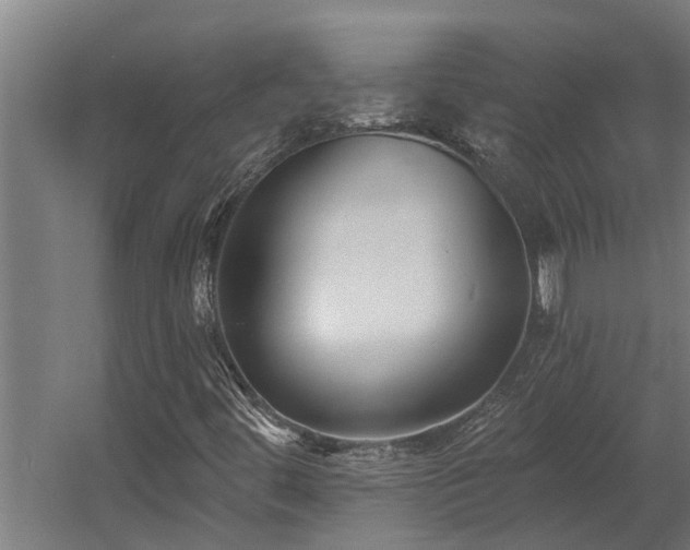 X0000060561444200511031230