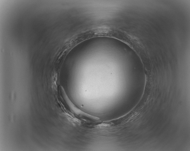 X0000060561445200511031230