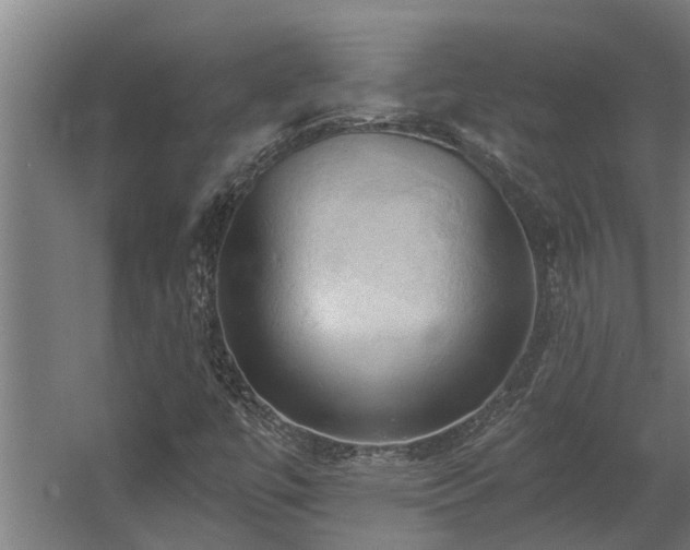 X0000060561447200511031230