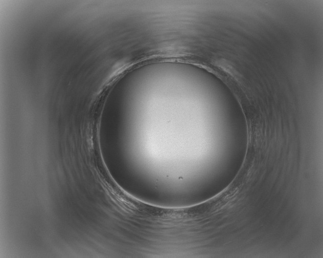 X0000060561451200511031230