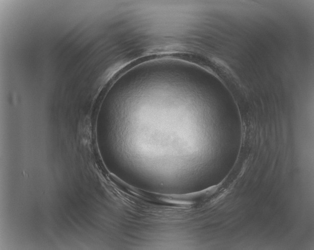 X0000060561457200511031230