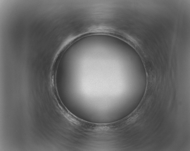 X0000060561462200511031230