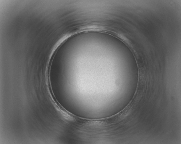 X0000060561474200511031230