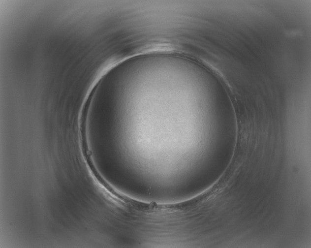X0000060561475200511031230