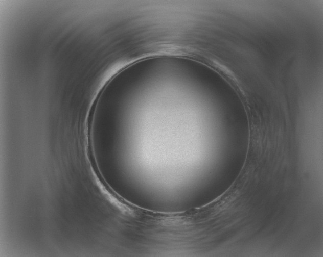 X0000060561479200511031230