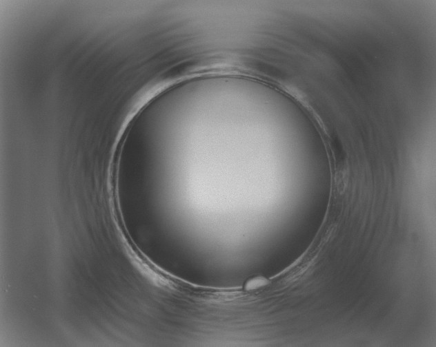 X0000060561482200511031230