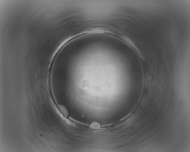 X0000060561484200511031230