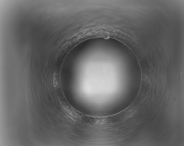 X0000060561490200511031229