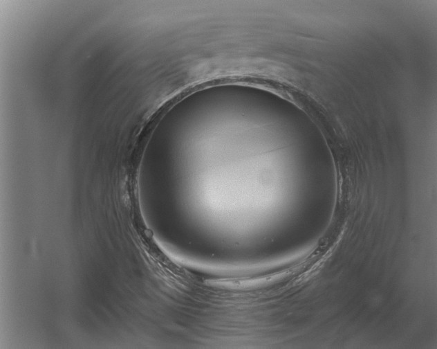 X0000060561497200511031229
