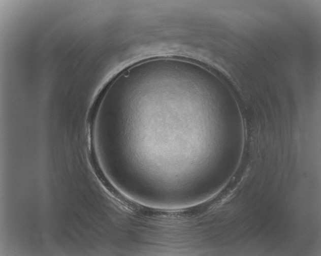 X0000060561509200511031229