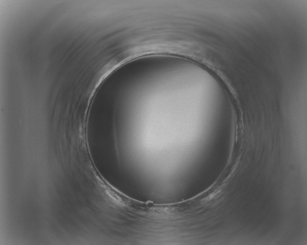 X0000060561529200511031230