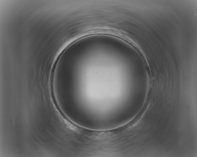 X0000060561533200511031230