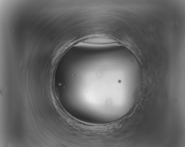 X0000060560001200511071000