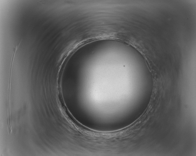 X0000060560002200511071000