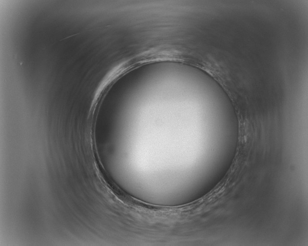 X0000060560004200511071000