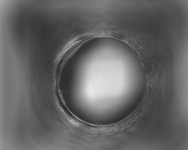 X0000060560005200511071000