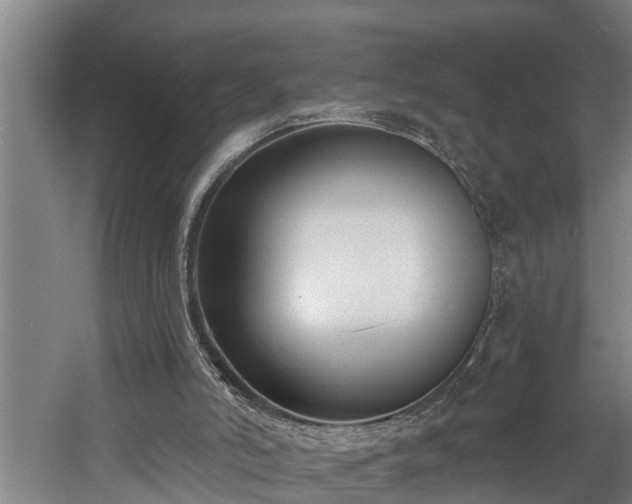 X0000060560006200511071000