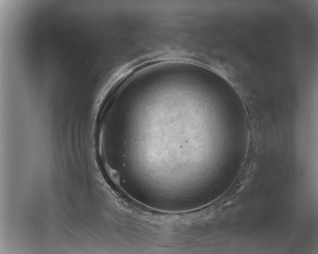 X0000060560007200511071000