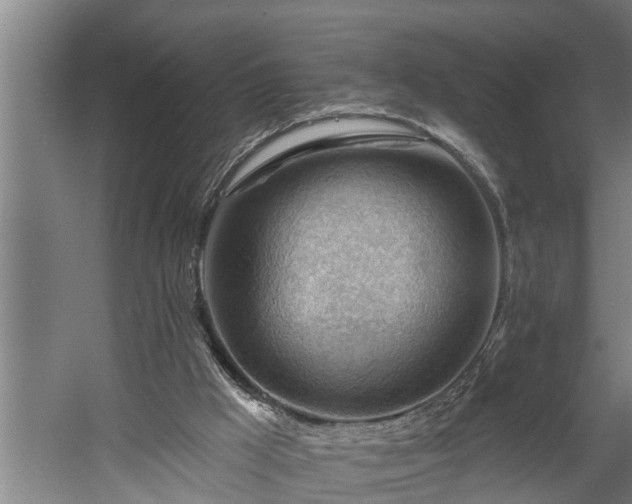 X0000060560009200511071000