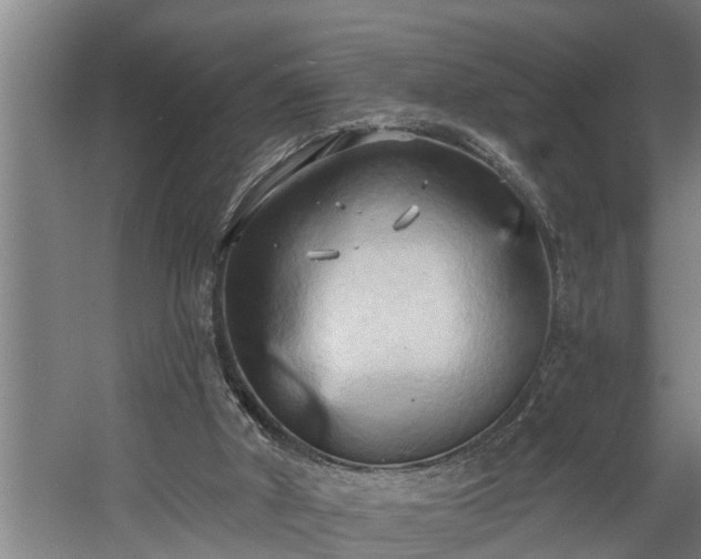 X0000060560010200511071000