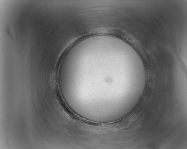 X0000060560012200511071000