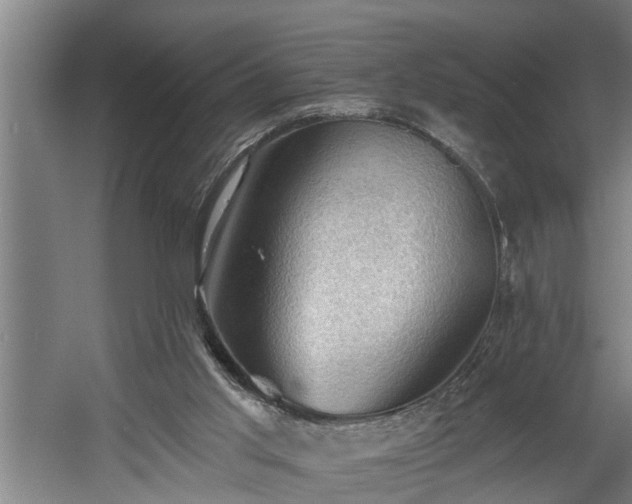 X0000060560013200511071000