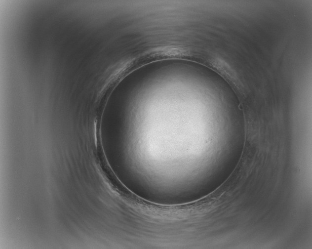 X0000060560014200511071000