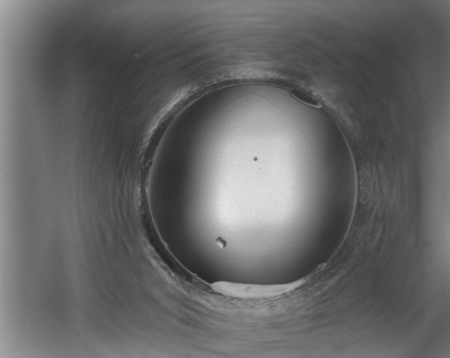 X0000060560015200511071000