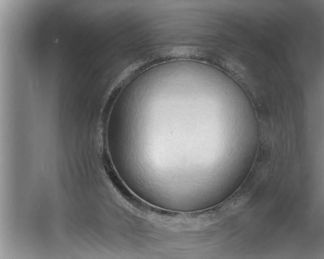 X0000060560016200511071000