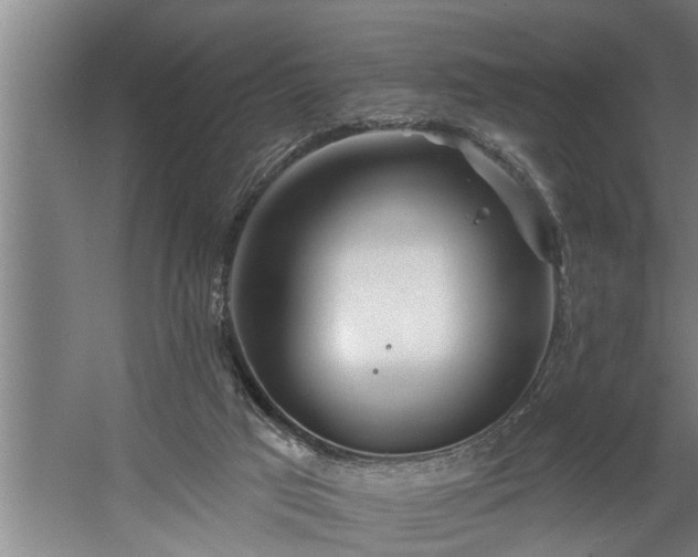 X0000060560017200511071000