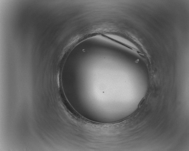 X0000060560019200511071000