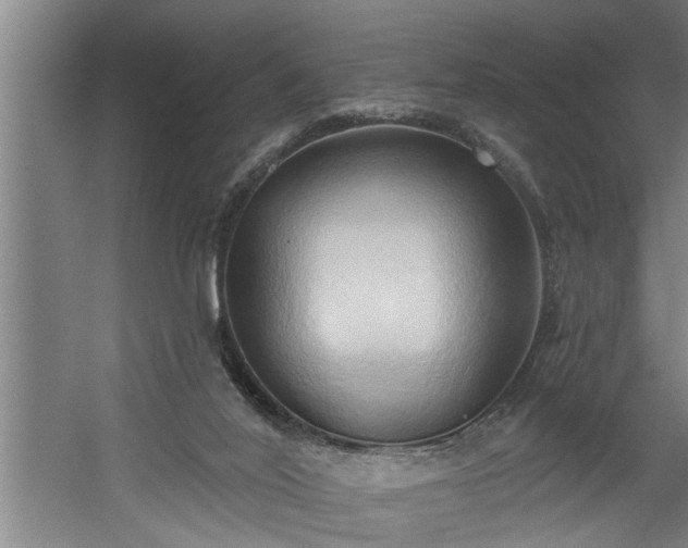 X0000060560020200511071000