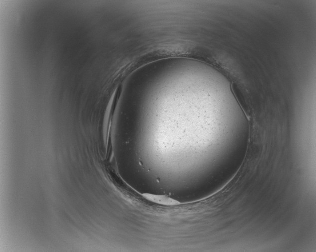 X0000060560021200511071000