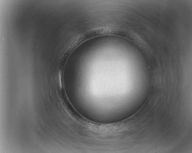 X0000060560022200511071000