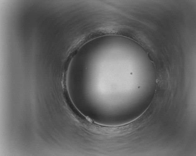 X0000060560023200511071000