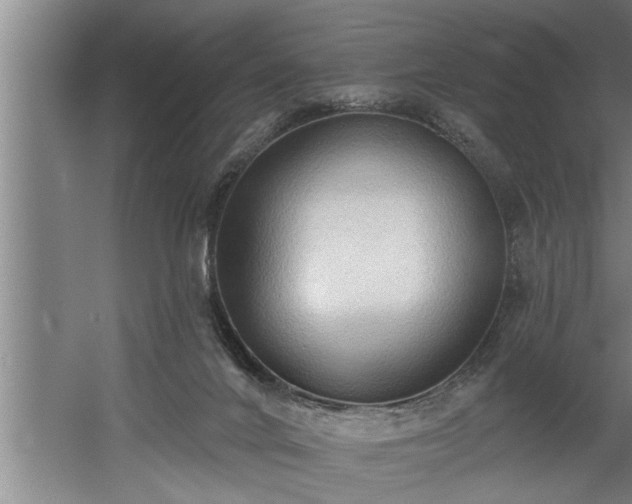 X0000060560024200511071000