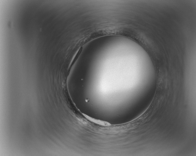 X0000060560025200511071000